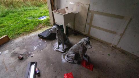 09/2022 - 2nd Time's The Charm (For Security) - IMG_2976.JPG