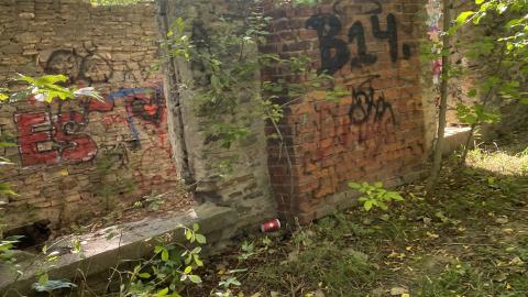 Hyde Mills 2022 October - 2F04D70E-6363-4B44-8D48-7F26977F6666.jpeg