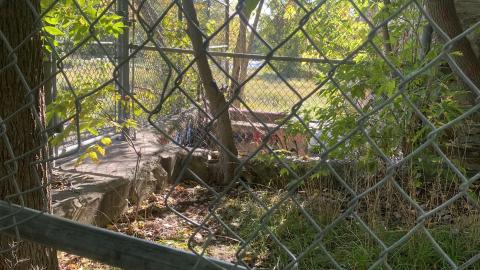 Hyde Mills 2022 October - CC6FEFF9-18D3-41CC-8059-F53E4B349720.jpeg