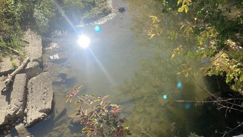 Hyde Mills 2022 October - B1334799-75A2-498D-BA69-94B6E1D8C667.jpeg