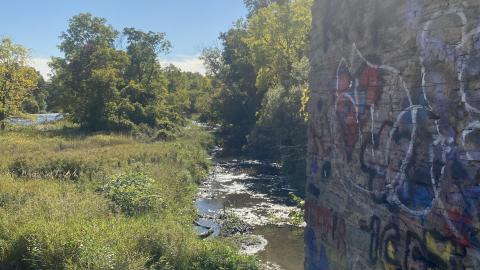 Hyde Mills 2022 October - C475C533-DD90-4111-9322-C2F4D3AA4CA6.jpeg