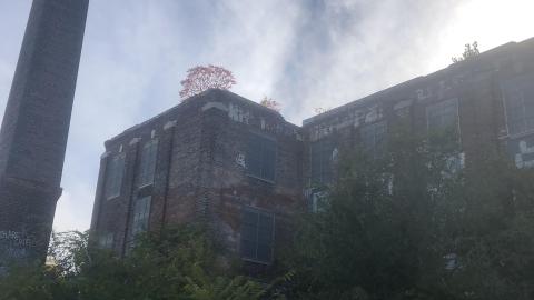 Ye Olde Linseed Oil Mills - 474BF802-B62D-487A-BE49-AF10DC890ADB.jpeg