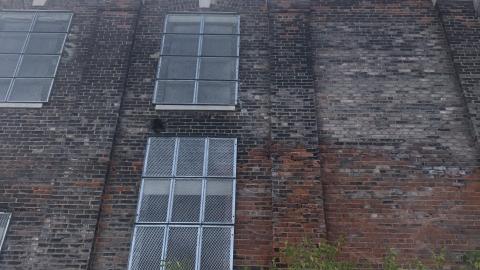 Ye Olde Linseed Oil Mills - 841177B5-D244-4314-963B-4240C03784F3.jpeg