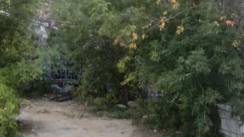 Ye Olde Linseed Oil Mills - 9DC5E7A8-BAFF-43AB-BAE1-7971A821E20C.jpeg