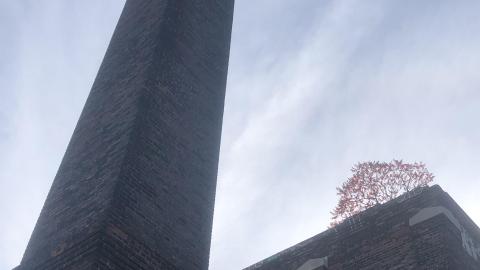 Ye Olde Linseed Oil Mills - 29019E95-D223-4159-AEBA-DFF1204E0F34.jpeg