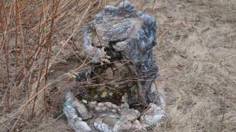 Tagging Gone Wild - Oakville-Lifecare-Centre8.jpg