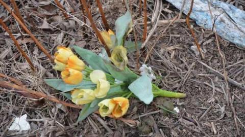 Tagging Gone Wild - Oakville-Lifecare-Centre86.jpg