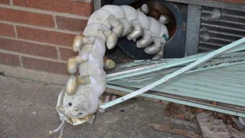 Photo from Tagging Gone Wild