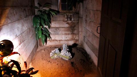 Into New France (August 2022) - IMG_9243.JPG