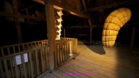 Into New France (August 2022) - IMG_9254.JPG