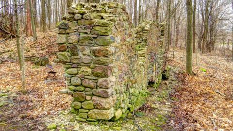 Discovery Visit, Spring 2022 - IMG_1536_7_Painterly 5.jpg