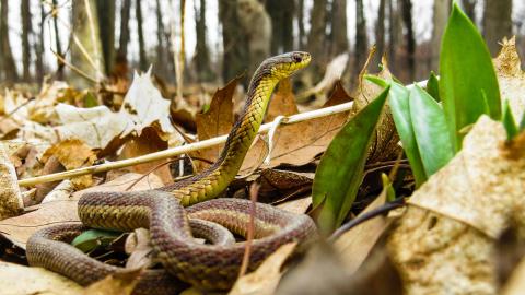 Discovery Visit, Spring 2022 - IMG_1549-2X.jpg