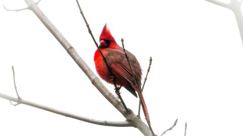 Discovery Visit, Spring 2022 - IMG_1582-2.jpg