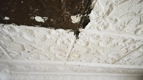 The Mayors Meth Mansion - Multiple Visits - 38.jpg