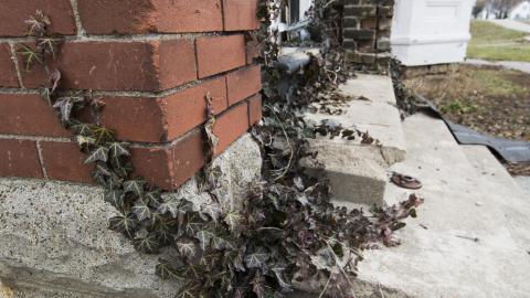 Photo from The Mayors Meth Mansion - Multiple Visits