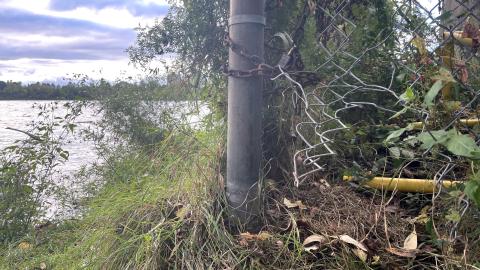 Photo from two holes in the fence