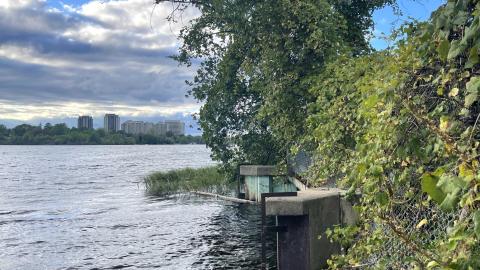 Photo from two holes in the fence