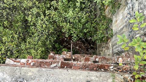 just looking around - IMG_4180.jpg