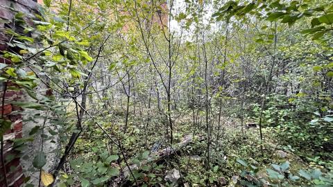 Photo from just looking around