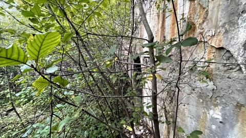 just looking around - IMG_4183.jpg