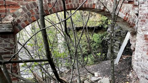 just looking around - IMG_4185.jpg