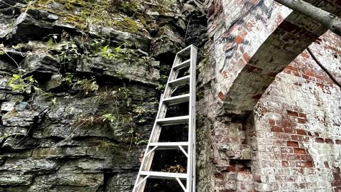 just looking around - IMG_4186.jpg