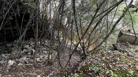 Photo from just looking around