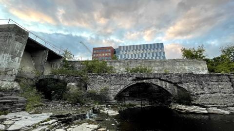 Photo from just looking around