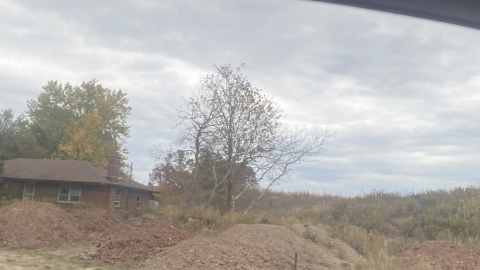 Photo from Dirt Dunes