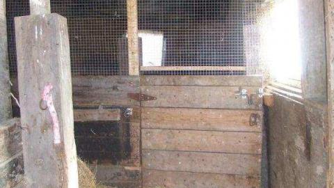 Gallery - Fast-Move-Out19.jpg