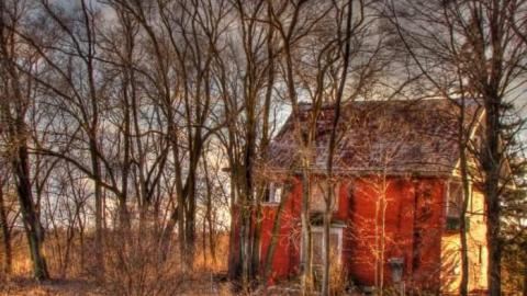 Limehouse Farm photo 3