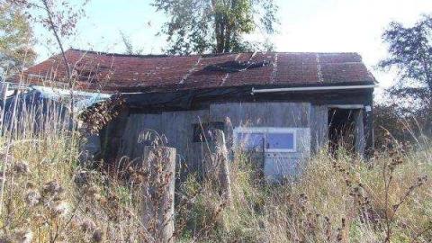 Gallery - Fast-Move-Out20.jpg