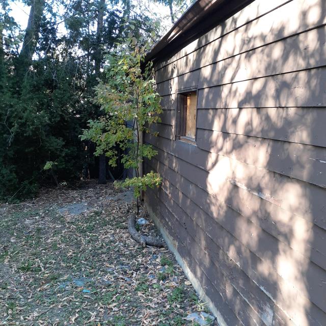 Boarded once again - 20221010_170604.jpg