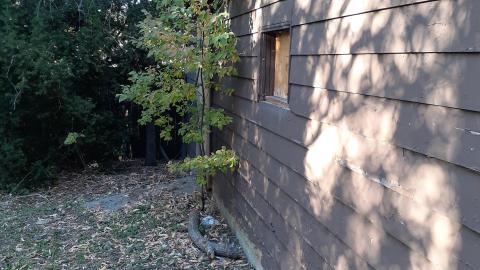 Boarded once again cover photo