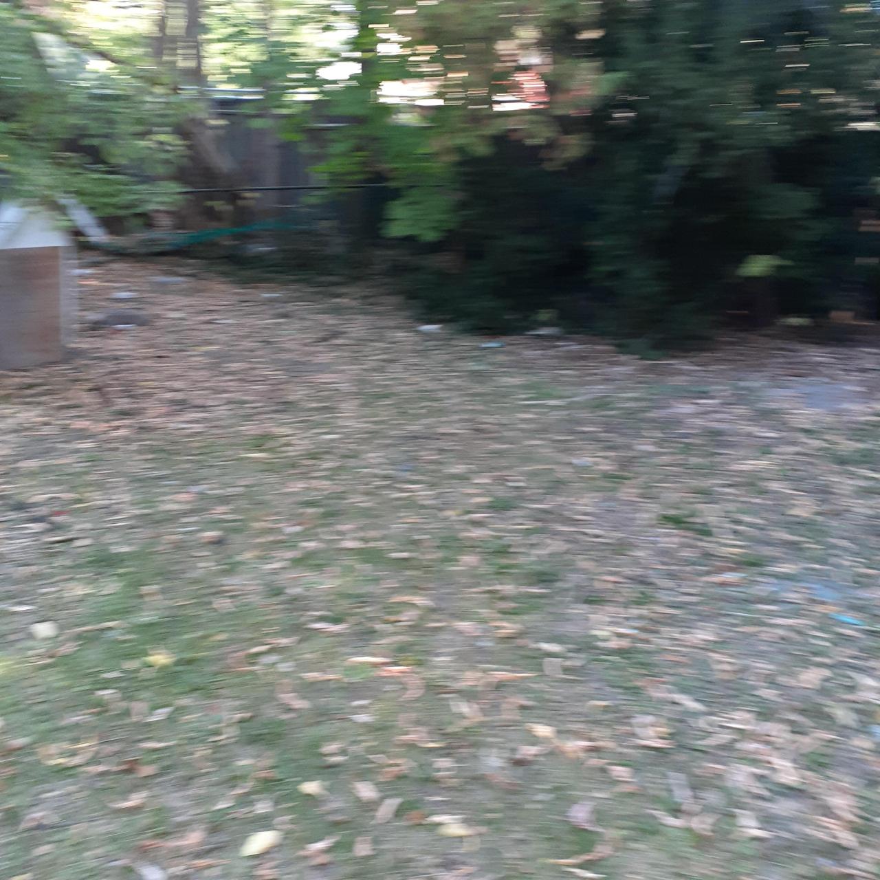 Boarded once again - 20221010_170601.jpg