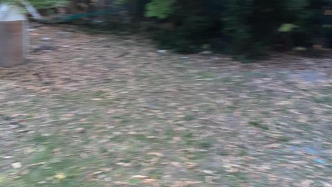 Photo from Boarded once again