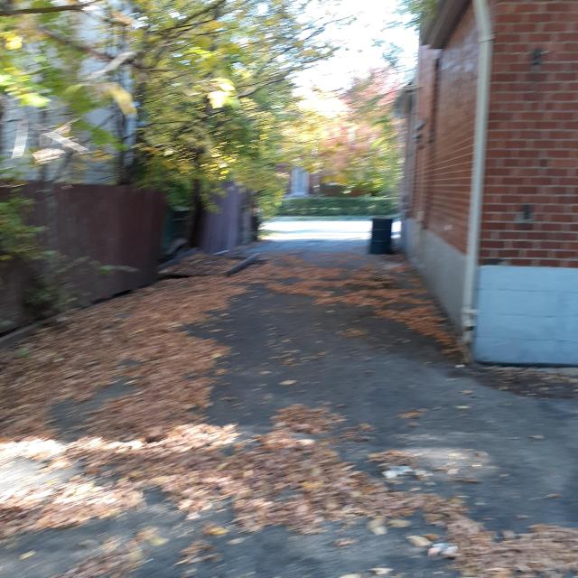 Boarded once again - 20221010_170555.jpg