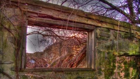 Nice and Quiet - Limehouse-Farm167.jpg