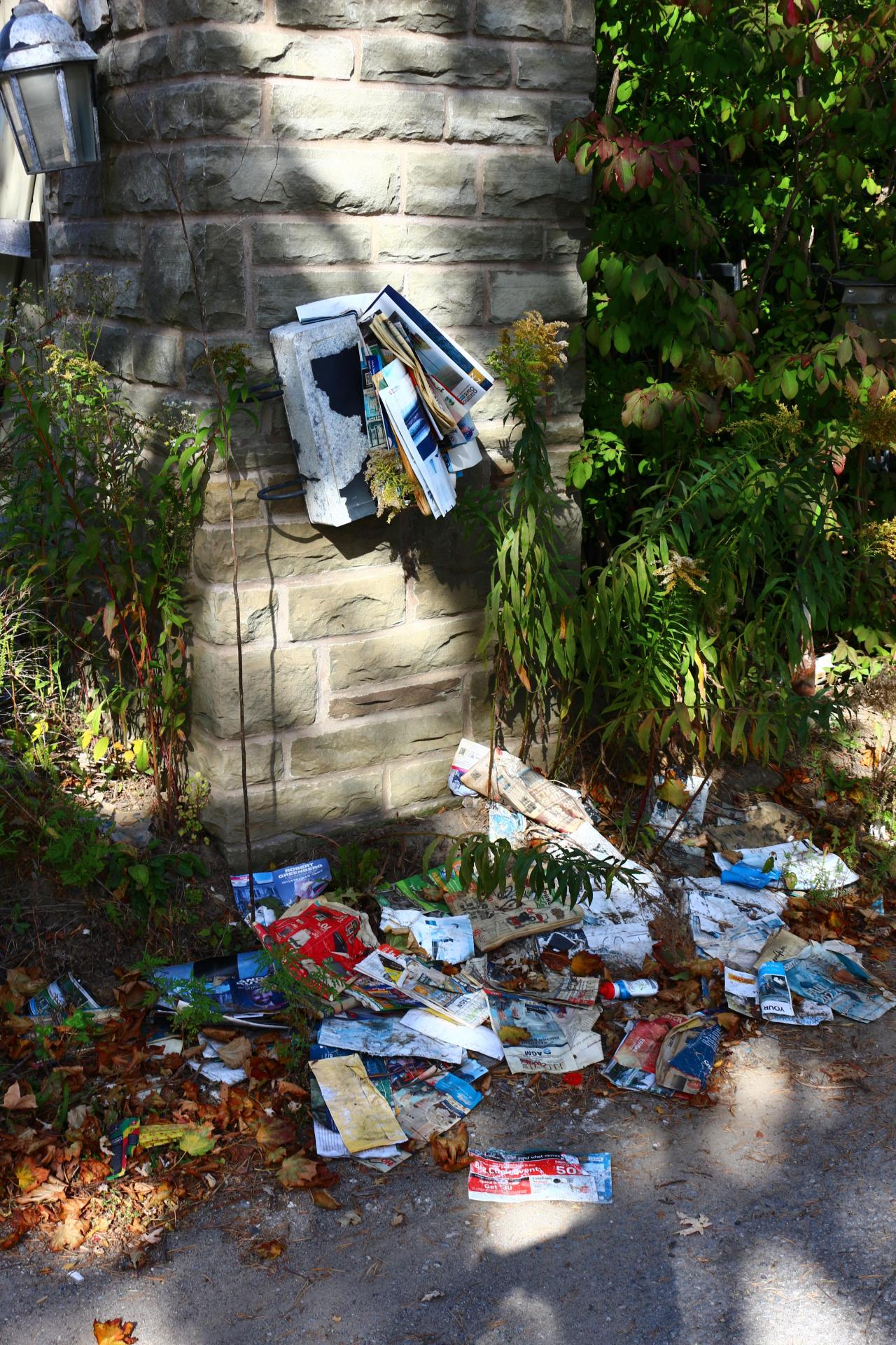 Windows. - IMG_3238.JPG