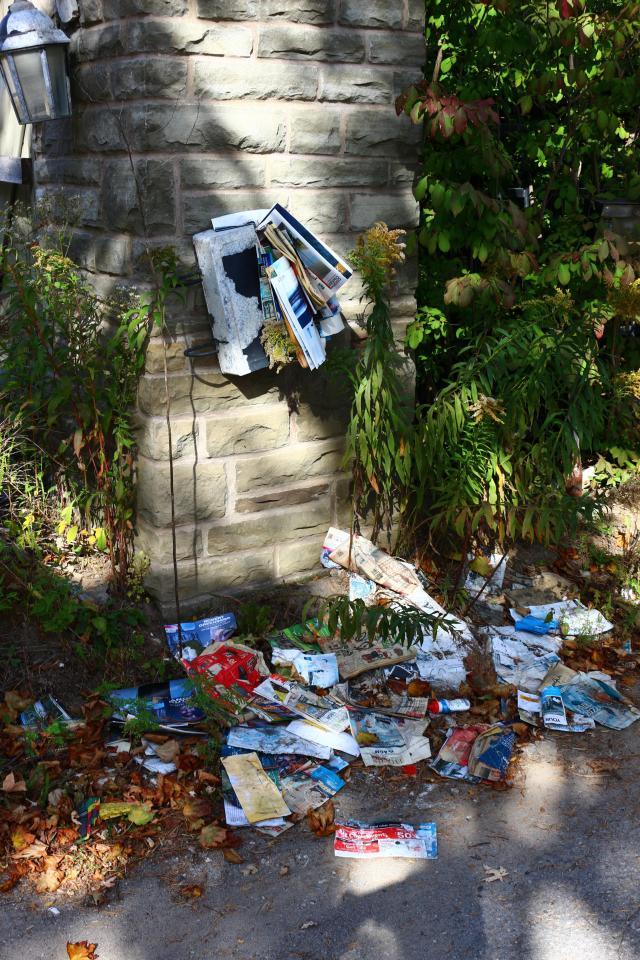 Windows. - IMG_3238.JPG