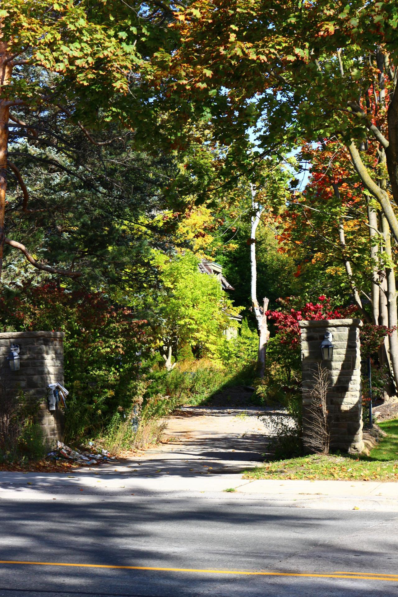 Windows. - IMG_3237.JPG