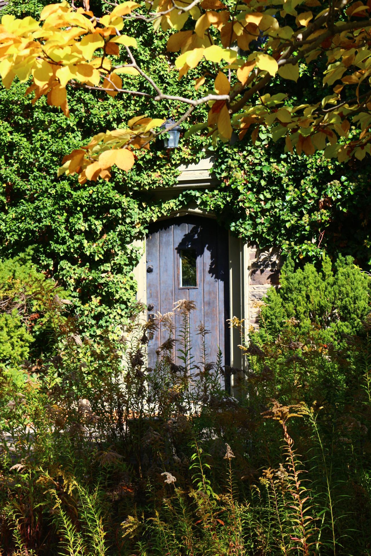 Windows. - IMG_3239.JPG