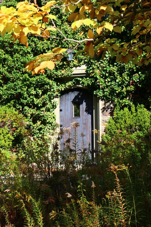 Windows. - IMG_3239.JPG