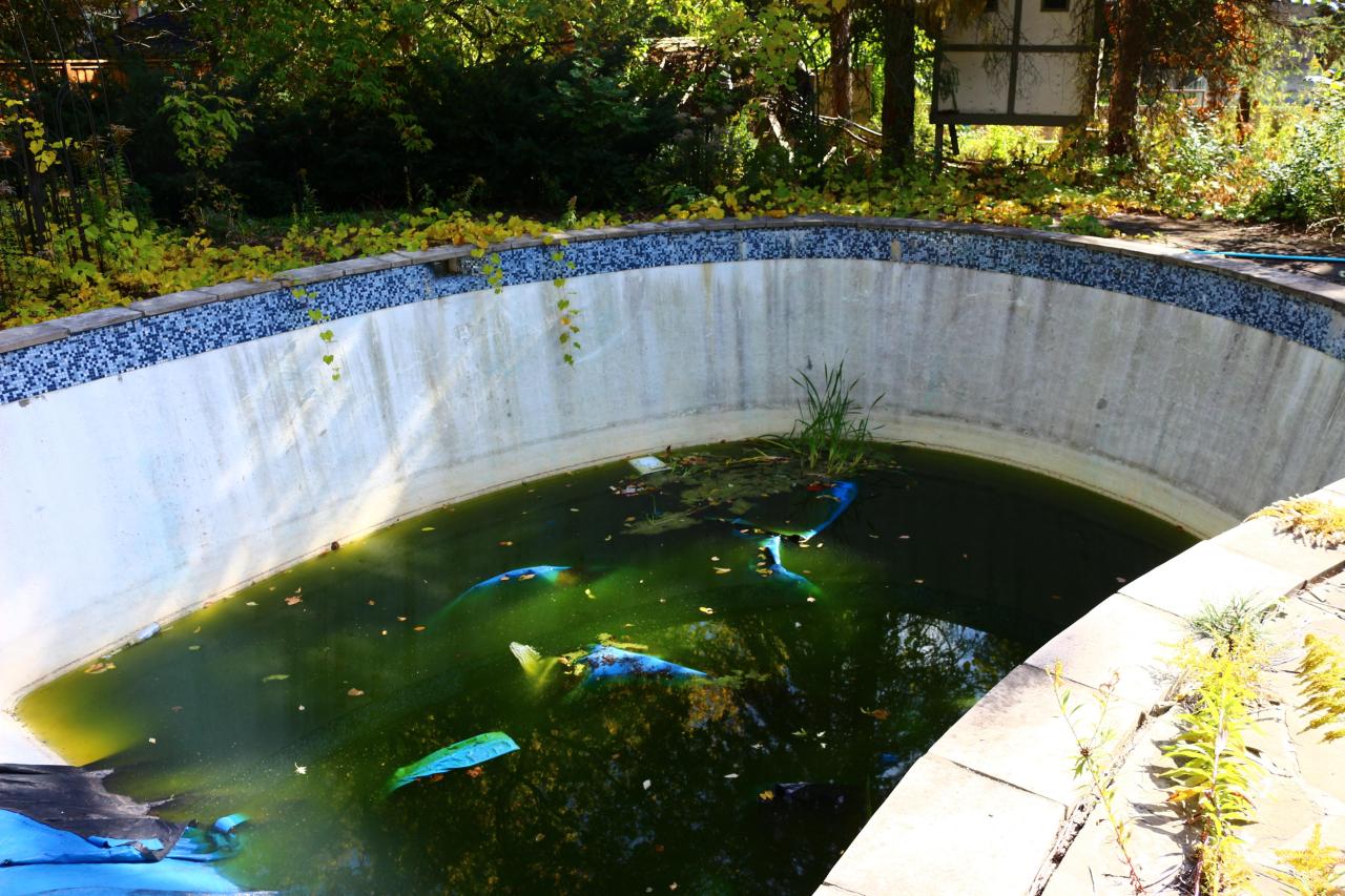 Windows. - IMG_3242.JPG