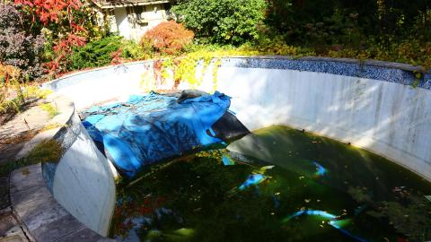 Windows. - IMG_3243.JPG