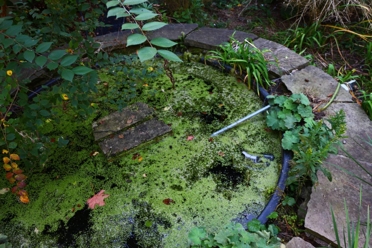 Windows. - IMG_3246.JPG