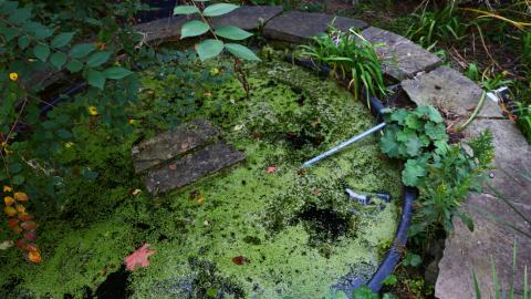 Windows. - IMG_3246.JPG