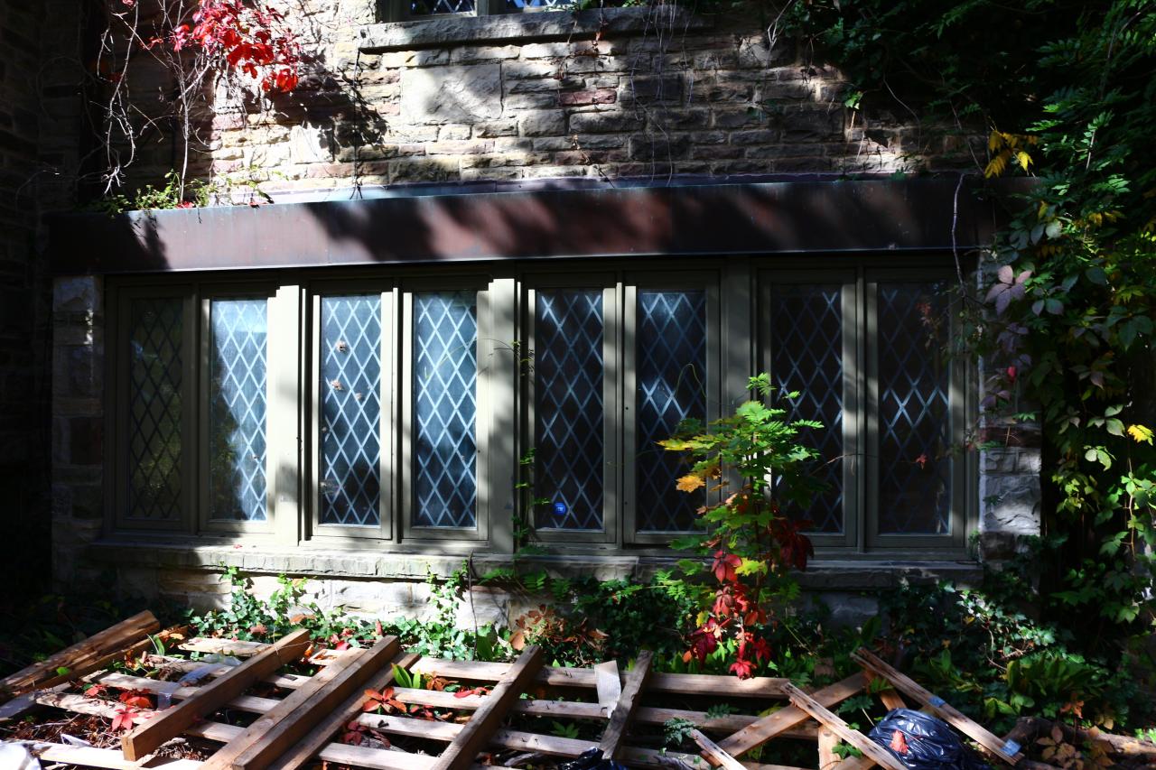 Windows. - IMG_3249.JPG