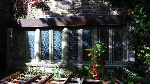 Windows. - IMG_3249.JPG