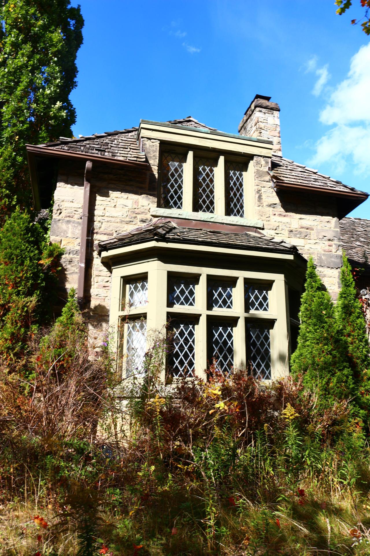 Windows. - IMG_3250.JPG